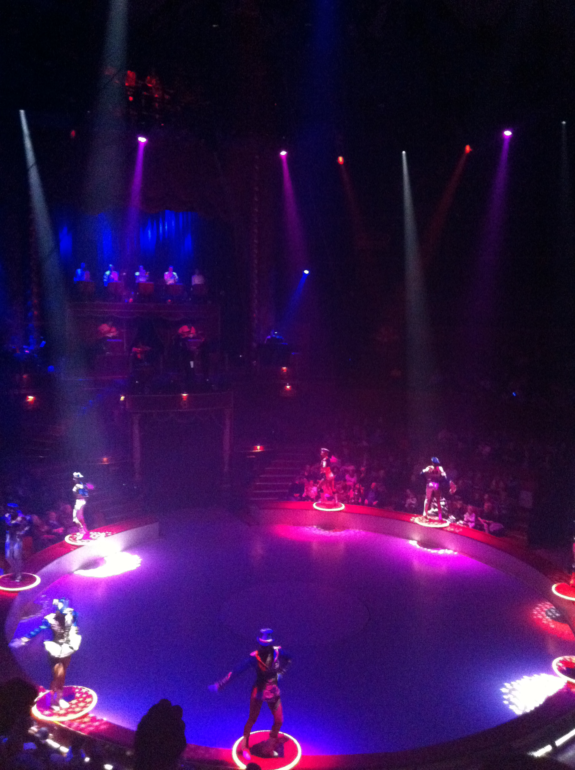 paris sightseeing : winter circus